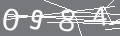 capsa